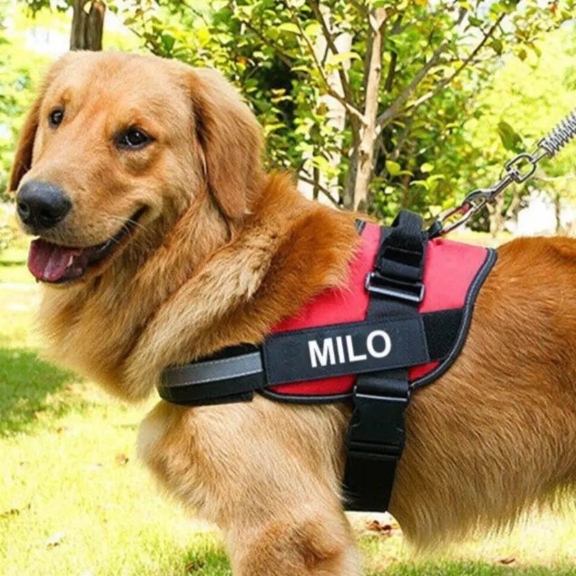 Customized Dog Harness