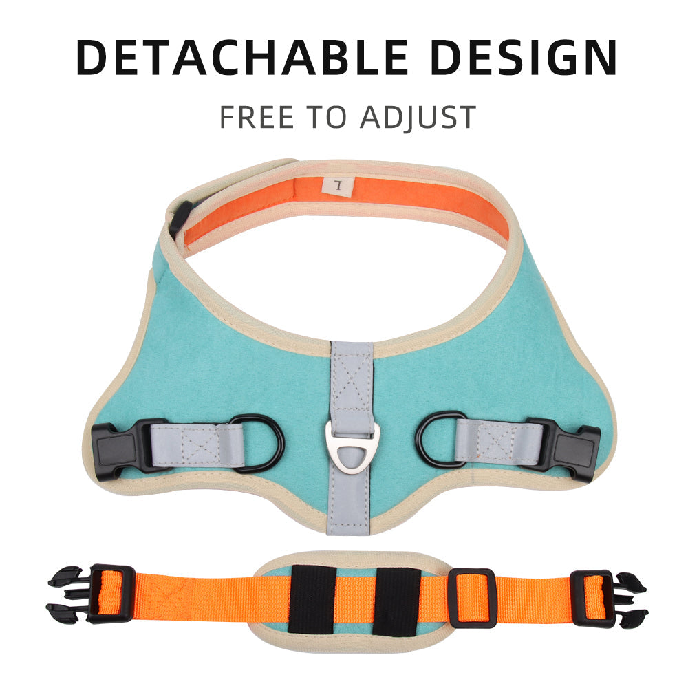 Pawsome Suede Harness & Leash Set