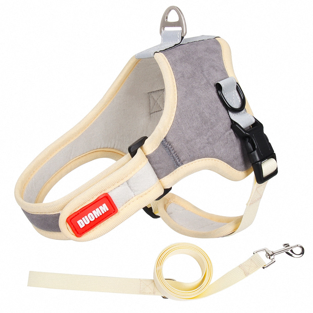 Pawsome Suede Harness & Leash Set