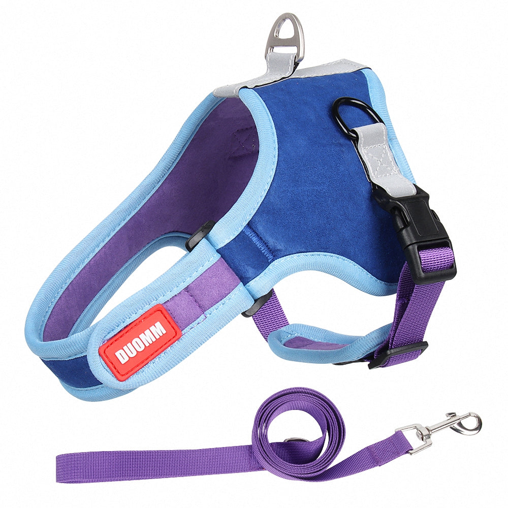 Pawsome Suede Harness & Leash Set