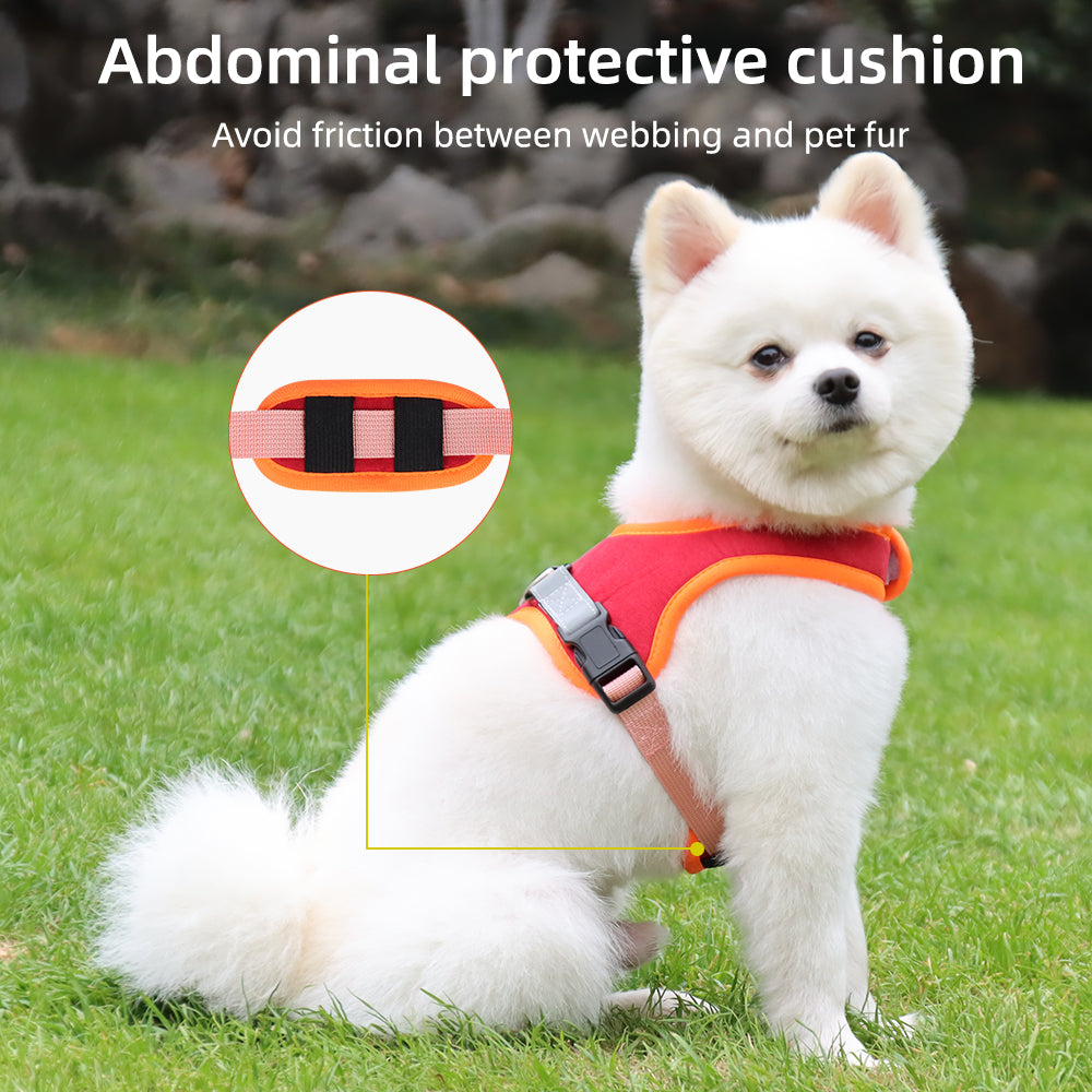 Pawsome Suede Harness & Leash Set