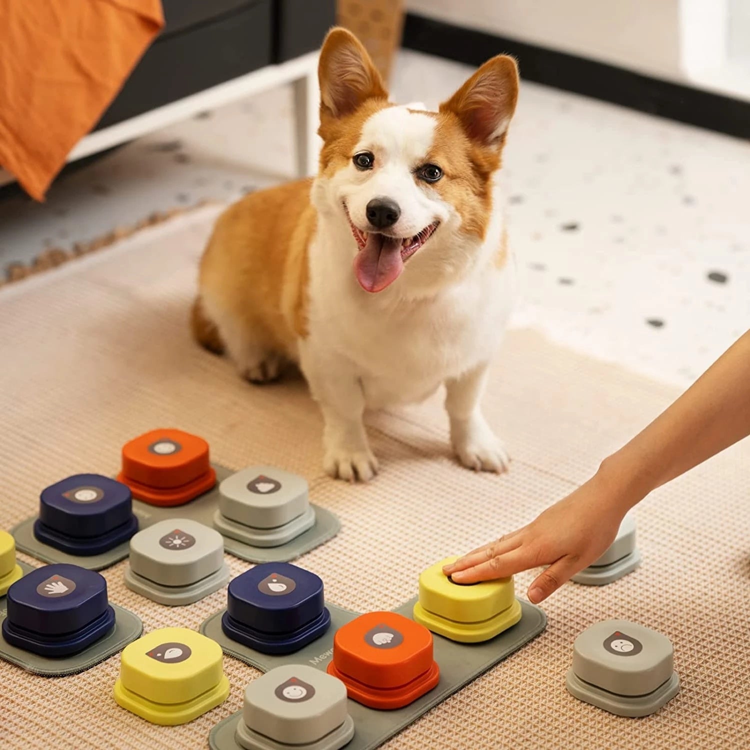 Vocal Pet Training Buttons