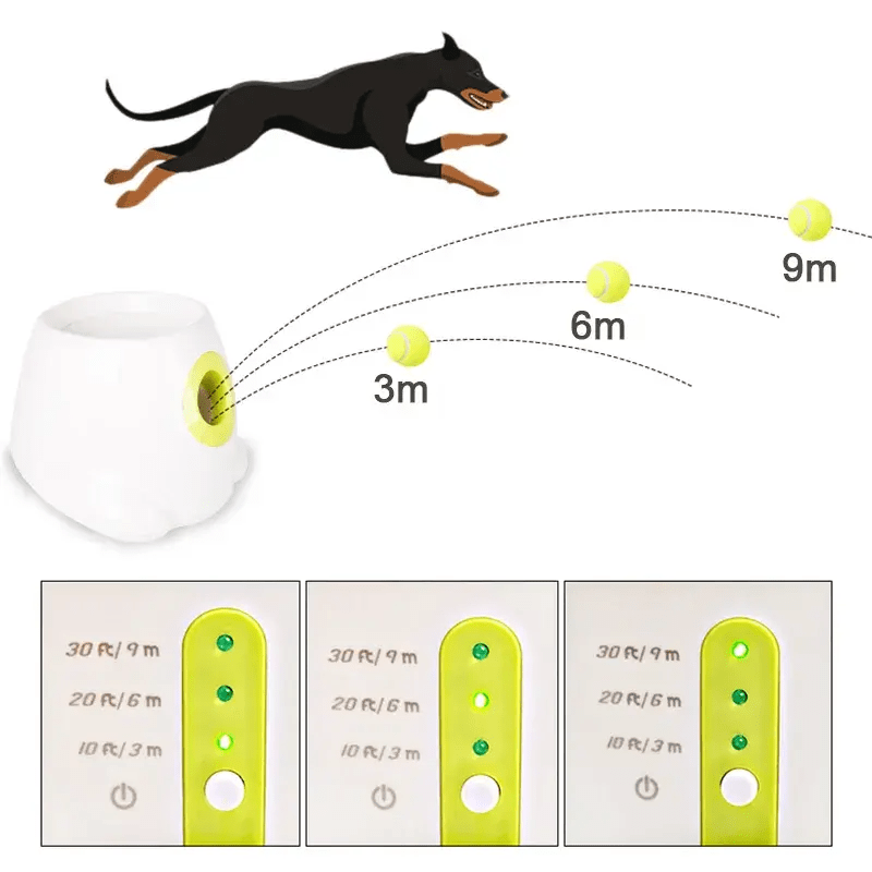 Automatic Pet Fetch Buddy